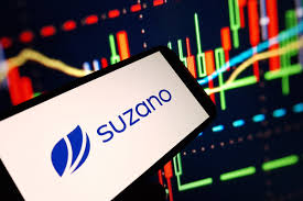 Resultados Financeiros Suzano 4T24(SUZB3)
