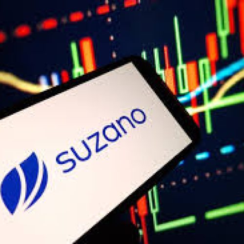 Resultados Financeiros Suzano 4T24(SUZB3)