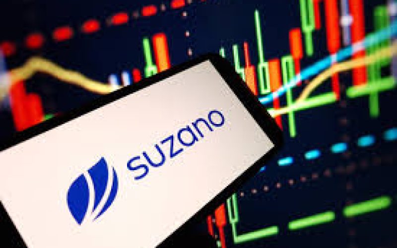 Resultados Financeiros Suzano 4T24(SUZB3)